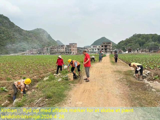 Xintian： Ryd op med affalds marker for at skabe et pænt landdistriktsmiljø